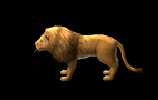 Lew