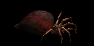 Navrey O Dziewięciu Oczach